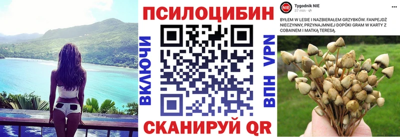 наркота кракен как войти Псилоцибиновые грибы Psilocybine cubensis Качканар